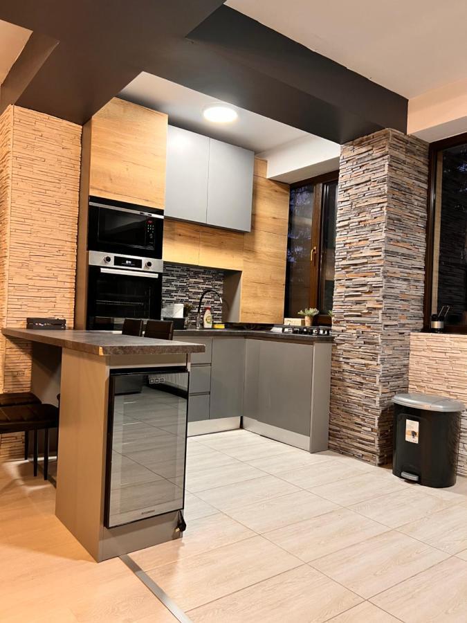 Penthouse Luxury View * Predeal